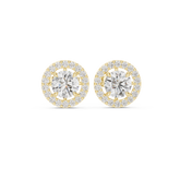 Crownlight Halo Diamond Stud Earrings