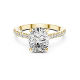 Lumivelle Hidden Halo Diamond Ring