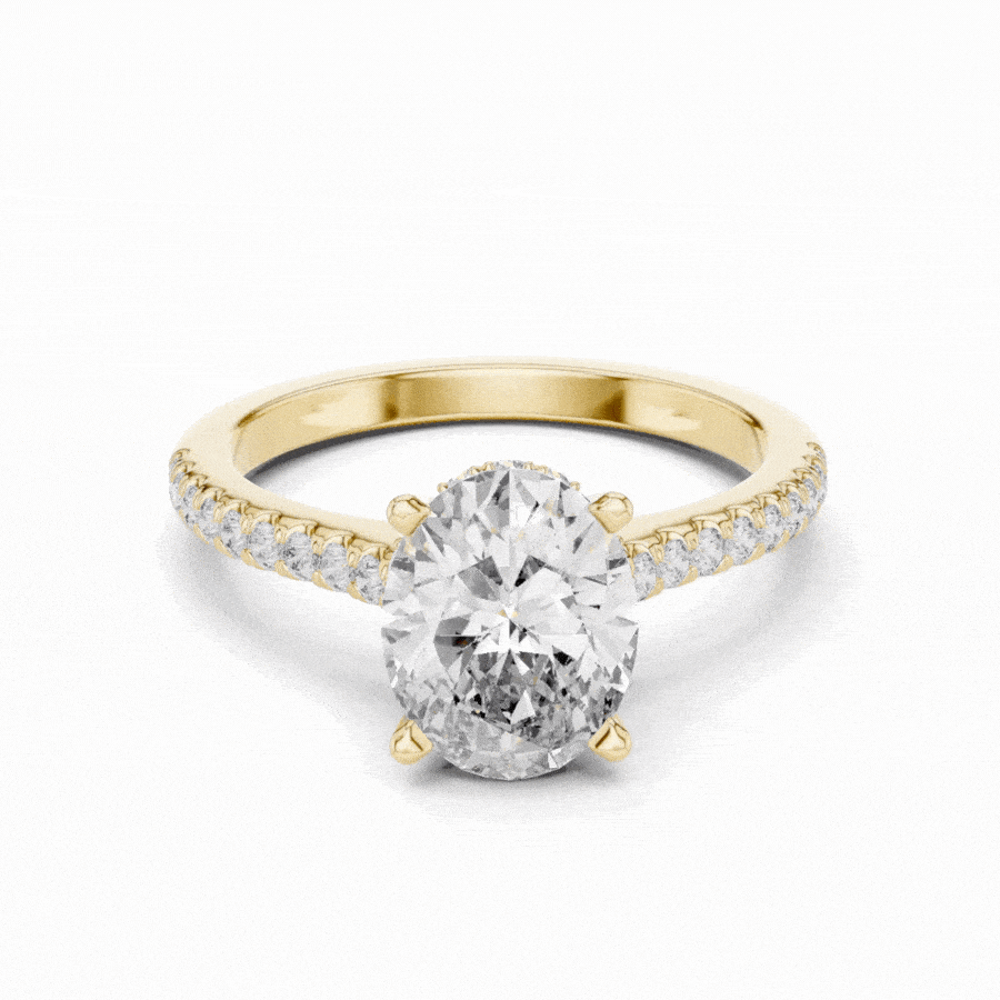 Lumivelle Hidden Halo Diamond Ring
