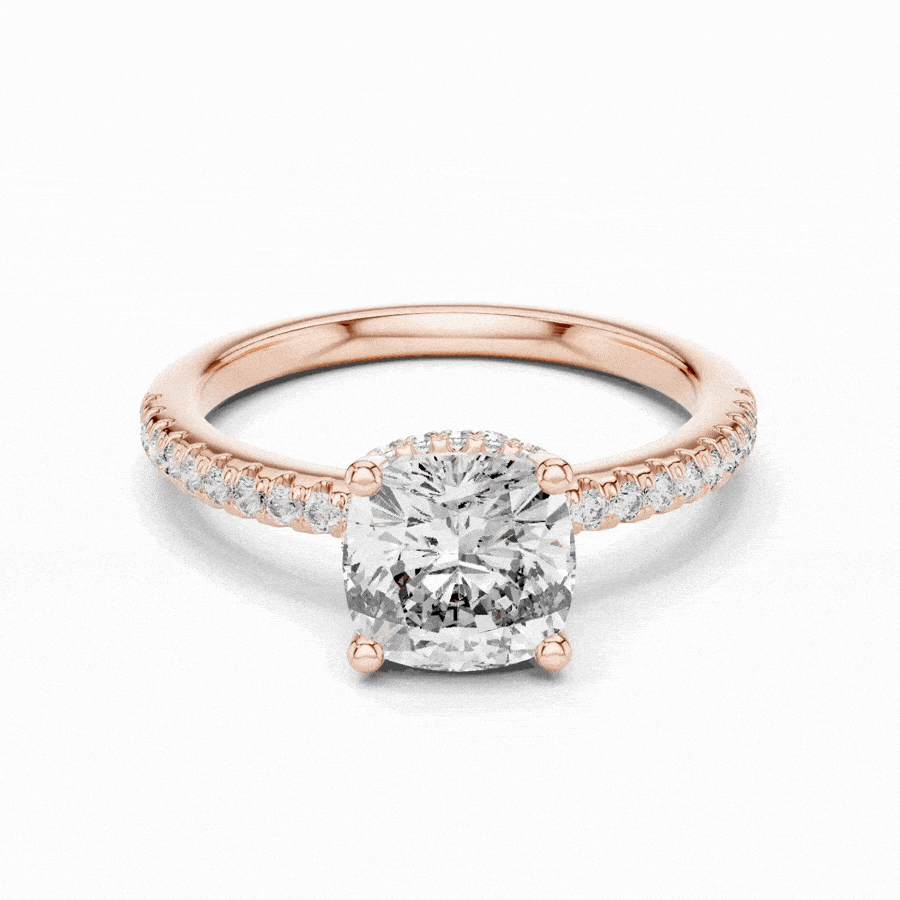 Bridelisse Hidden Halo Diamond Ring