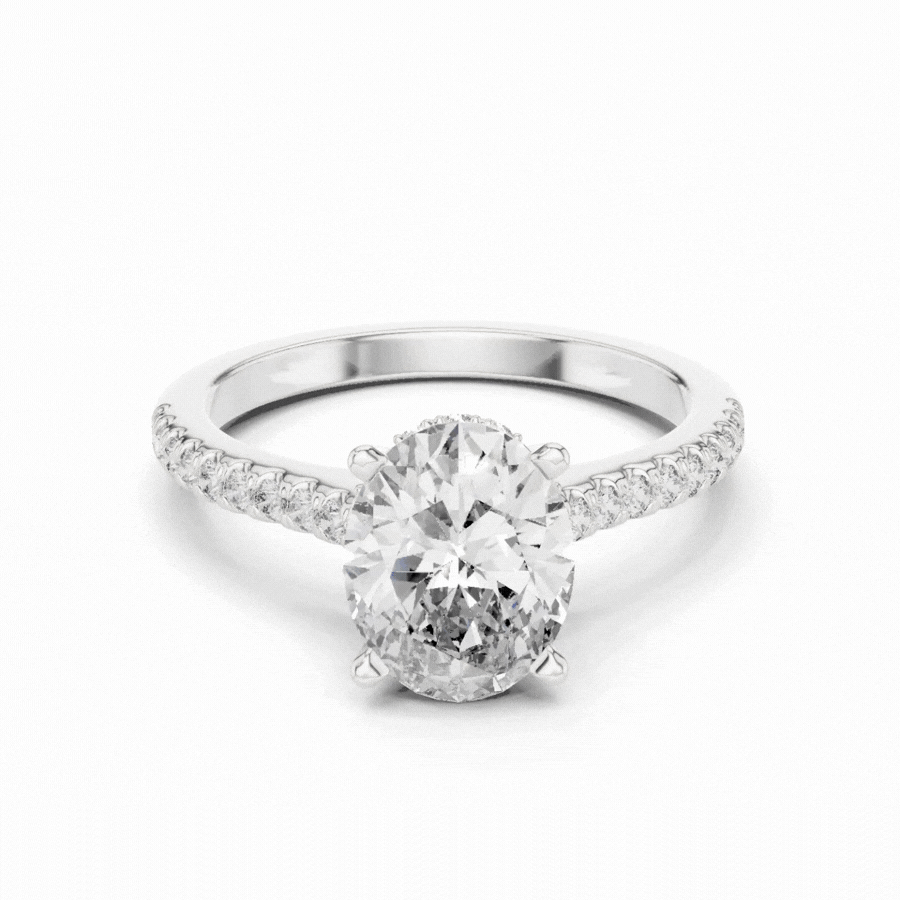 Lumivelle Hidden Halo Diamond Ring